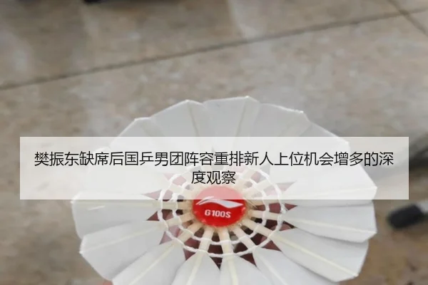樊振东缺席后国乒男团阵容重排新人上位机会增多的深度观察 - HUAQIU.COMapp